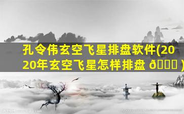 孔令伟玄空飞星排盘软件(2020年玄空飞星怎样排盘 🐋 )